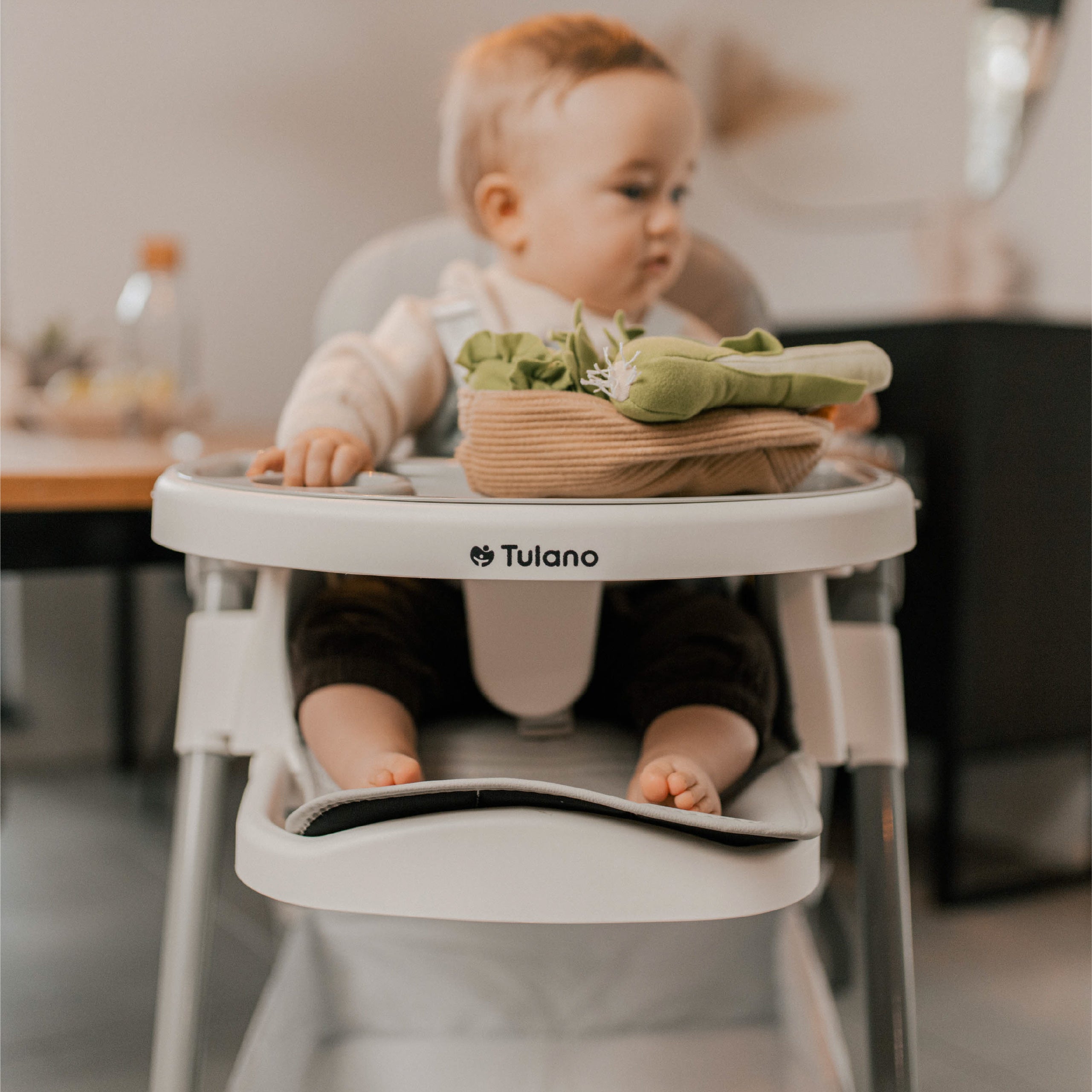 Krzesełko do karmienia składane Tulano Morsel 30