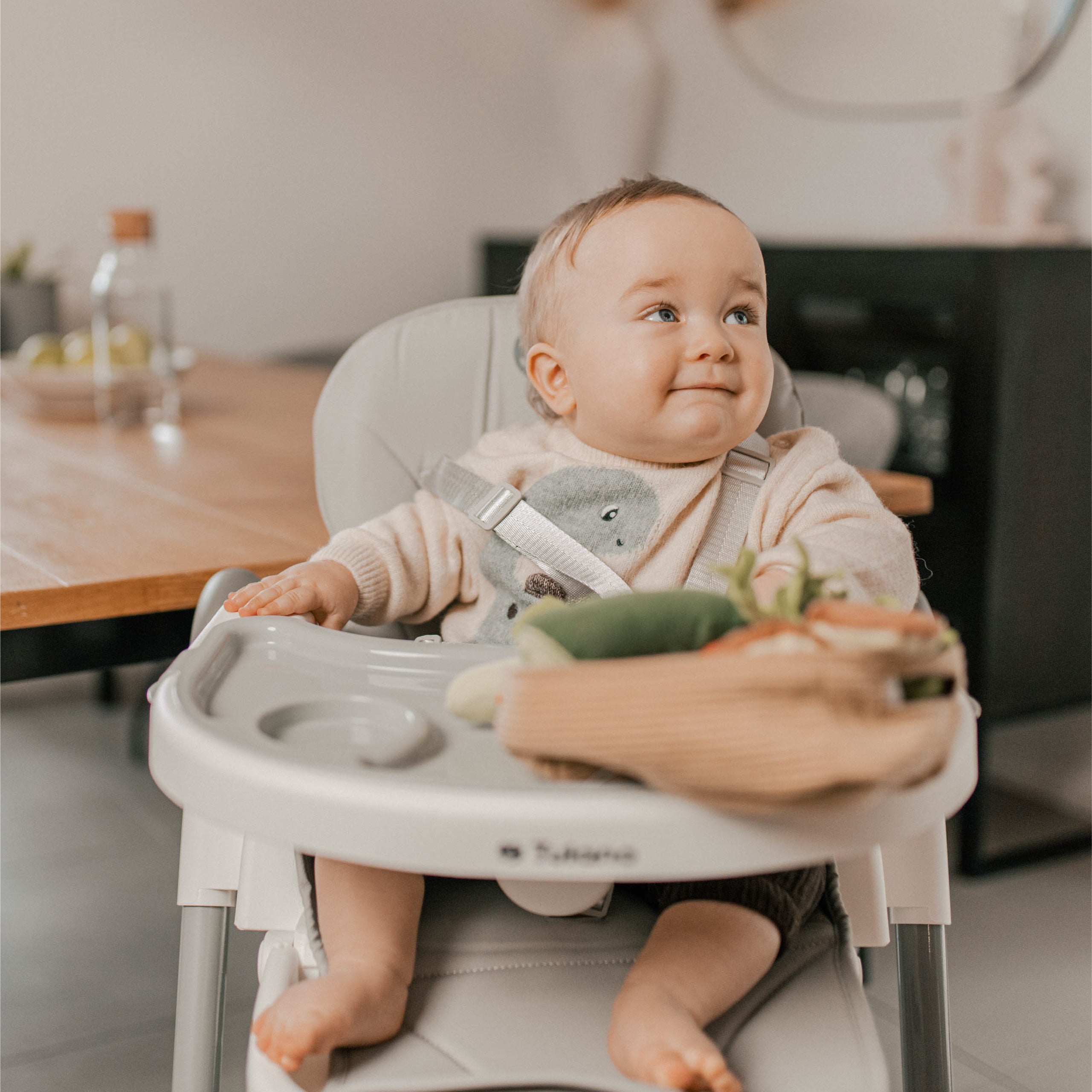 Krzesełko do karmienia składane Tulano Morsel 30